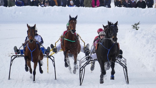 术的多变性 术的多变性