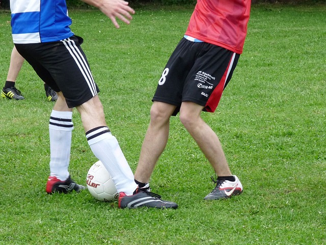 他不仅依赖 他不仅依赖