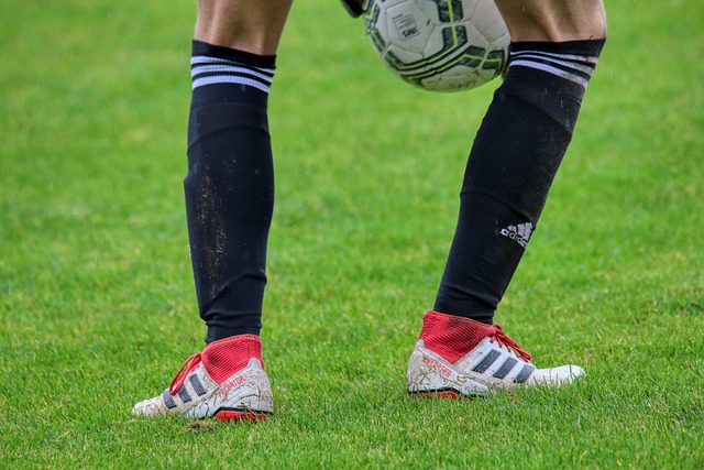 科內特在接 科內特在接