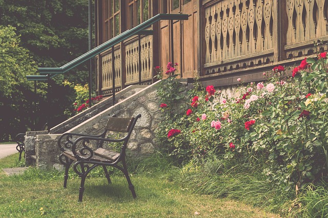 无疑是其中 无疑是其中