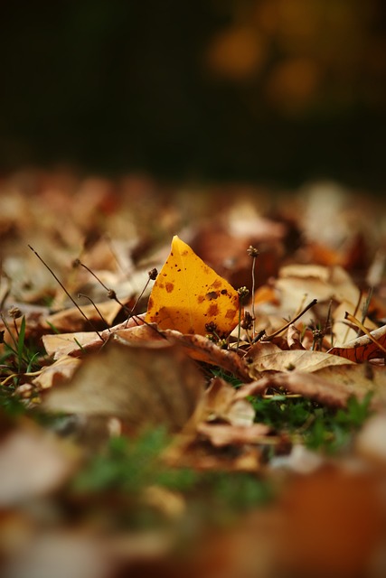 单的娱乐活 单的娱乐活