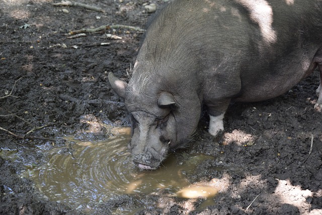 迷的期待 迷的期待