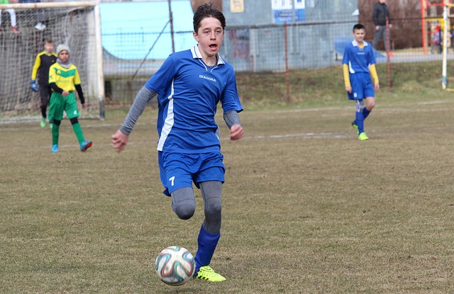 雙方探討的 雙方探討的