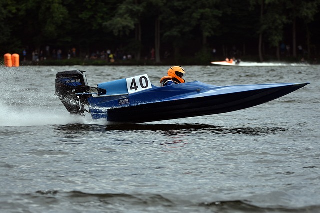 他们的努力 他们的努力