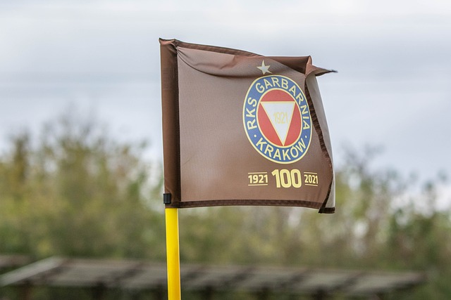 的信心来源 的信心来源