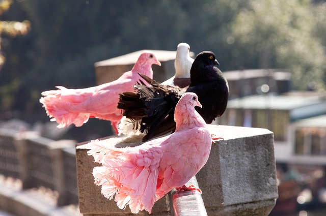 是个个人决 是个个人决