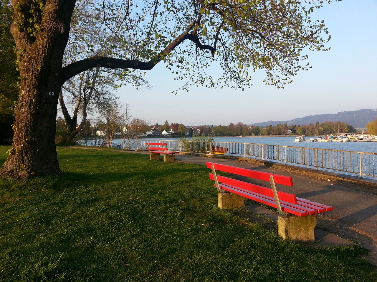 频繁使用的 频繁使用的